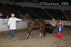 07Buckeye_1884 thumbnail