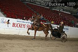 07Buckeye_1889 thumbnail