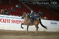 07Buckeye_1908 thumbnail