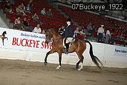 07Buckeye_1922 thumbnail