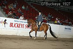 07Buckeye_1927 thumbnail