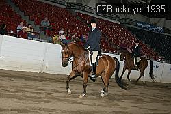 07Buckeye_1935 thumbnail