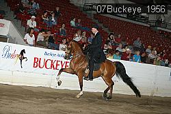 07Buckeye_1956 thumbnail