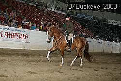 07Buckeye_2008 thumbnail