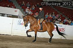 07Buckeye_2012 thumbnail