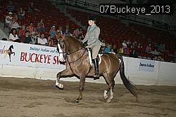 07Buckeye_2013 thumbnail