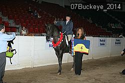 07Buckeye_2014 thumbnail