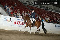 07Buckeye_2018 thumbnail