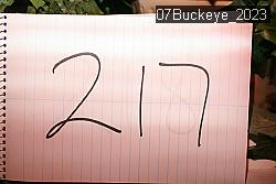 07Buckeye_2023 thumbnail