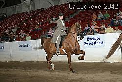 07Buckeye_2042 thumbnail