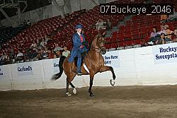 07Buckeye_2046 thumbnail