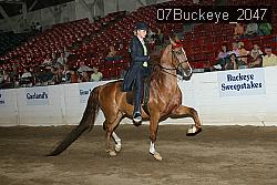 07Buckeye_2047 thumbnail