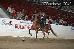 07Buckeye_2049 thumbnail