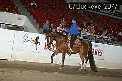 07Buckeye_2077 thumbnail