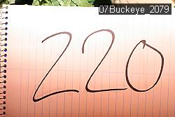 07Buckeye_2079 thumbnail