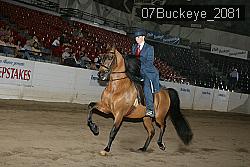 07Buckeye_2081 thumbnail