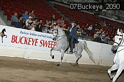 07Buckeye_2090 thumbnail