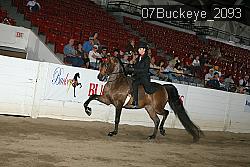 07Buckeye_2093 thumbnail