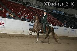 07Buckeye_2116 thumbnail