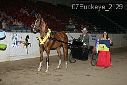 07Buckeye_2129 thumbnail