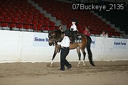 07Buckeye_2135 thumbnail