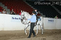 07Buckeye_2140 thumbnail