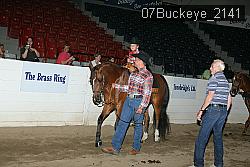07Buckeye_2141 thumbnail