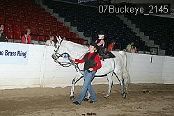 07Buckeye_2145 thumbnail