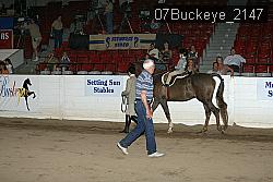 07Buckeye_2147 thumbnail