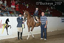 07Buckeye_2157 thumbnail