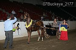 07Buckeye_2177 thumbnail