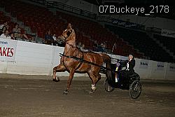 07Buckeye_2178 thumbnail