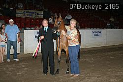 07Buckeye_2185 thumbnail