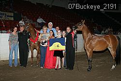 07Buckeye_2191 thumbnail