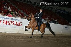 07Buckeye_2197 thumbnail