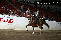 07Buckeye_2209 thumbnail