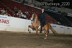 07Buckeye_2220 thumbnail