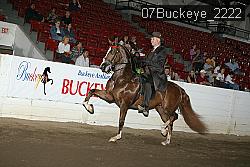 07Buckeye_2222 thumbnail