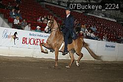 07Buckeye_2224 thumbnail