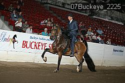 07Buckeye_2225 thumbnail