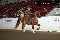 07Buckeye_2253 thumbnail