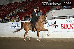 07Buckeye_2255 thumbnail