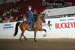 07Buckeye_2256 thumbnail