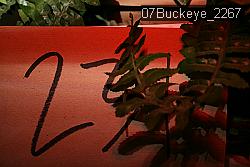 07Buckeye_2267 thumbnail