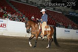 07Buckeye_2275 thumbnail