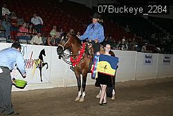 07Buckeye_2284 thumbnail