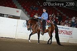 07Buckeye_2288 thumbnail