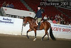 07Buckeye_2301 thumbnail