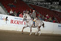 07Buckeye_2309 thumbnail