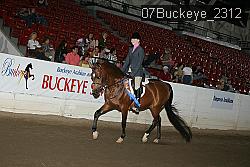 07Buckeye_2312 thumbnail